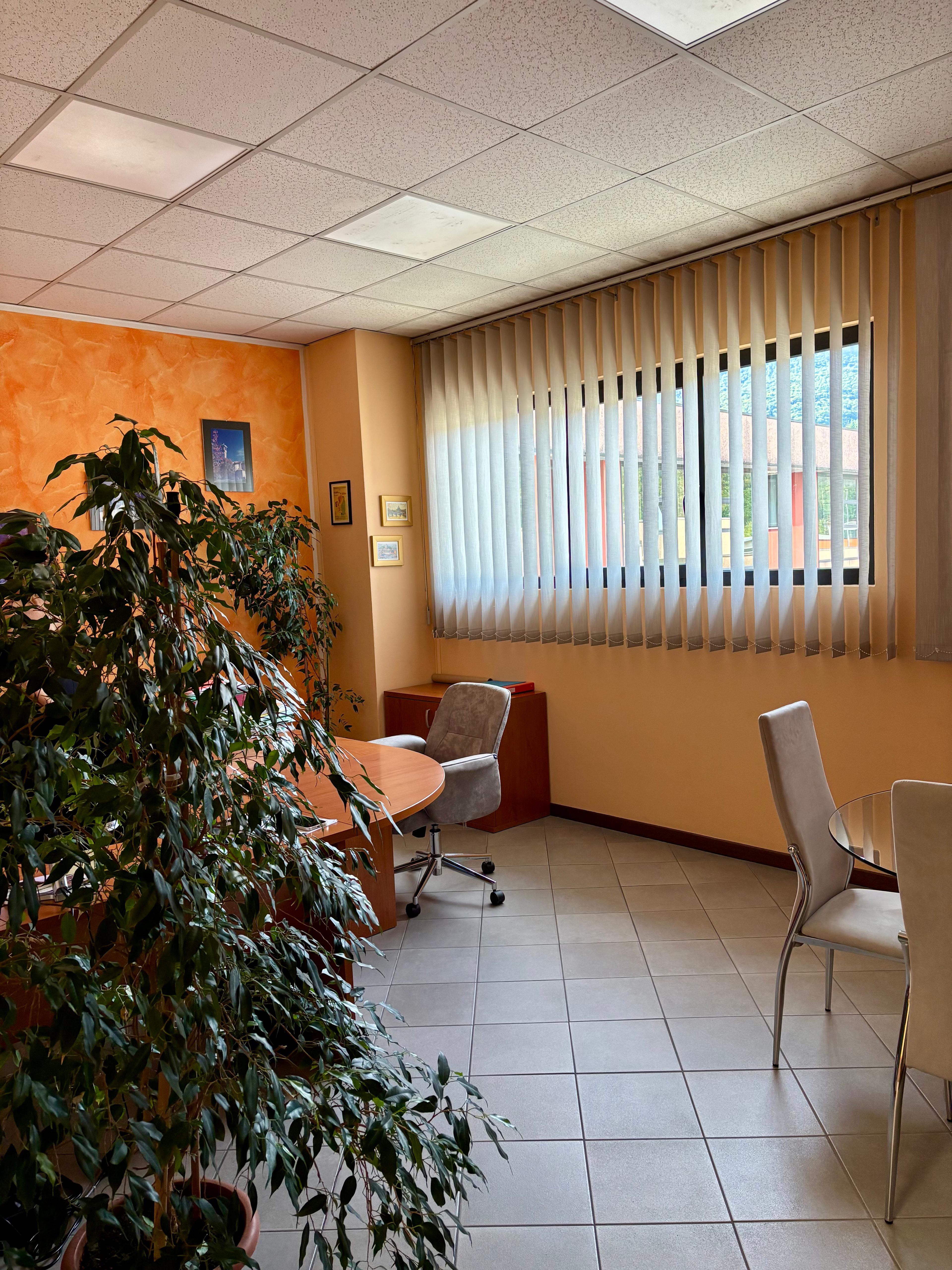 Studio Dott.ssa Michela Donno - consulenza fiscale